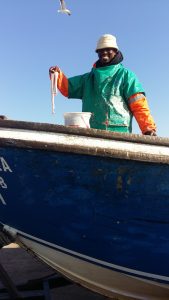 snoek fisherman lamberts bay west coast