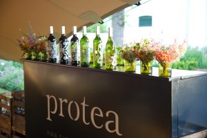 protea wines anthonij rupert wyne franchhoek uncorked festival sonia cabano blog eatdrinkcapetown