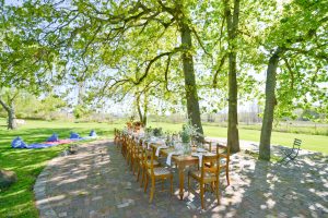 hartenberg wine estate celebration table sonia cabano blog eatdrinkcapetown