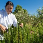 veg-harvest-76922972954318101013271.jpg