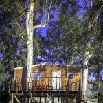 tree house 1 13000644861177212010..jpg