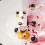 blueberry parfait, white chocolate, toasted marshmallow and berry com hr2916747636454699212..jpg