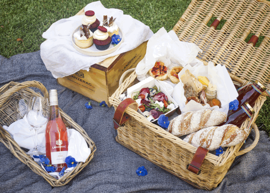 lanzerac picnic sonia cabano blog eatdrinkcapetown