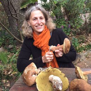 nora sperling thiel fungi delheim sonia cabano blog eatdrinkcapetown