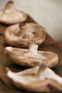 porcini delheim forage sonia cabano blog eatdrinkcapetown