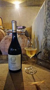 avondale anima sonia cabano blog eatdrinkcapetown