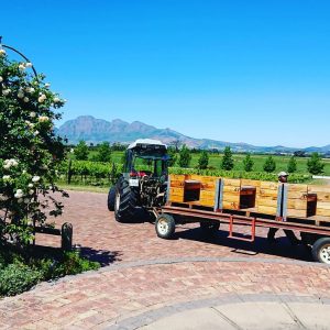 tractor train avondale sonia cabano blog eatdrinkcapetown