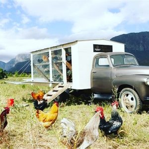 chicken tractor avondale sonia cabano blog eatdrinkcapetown